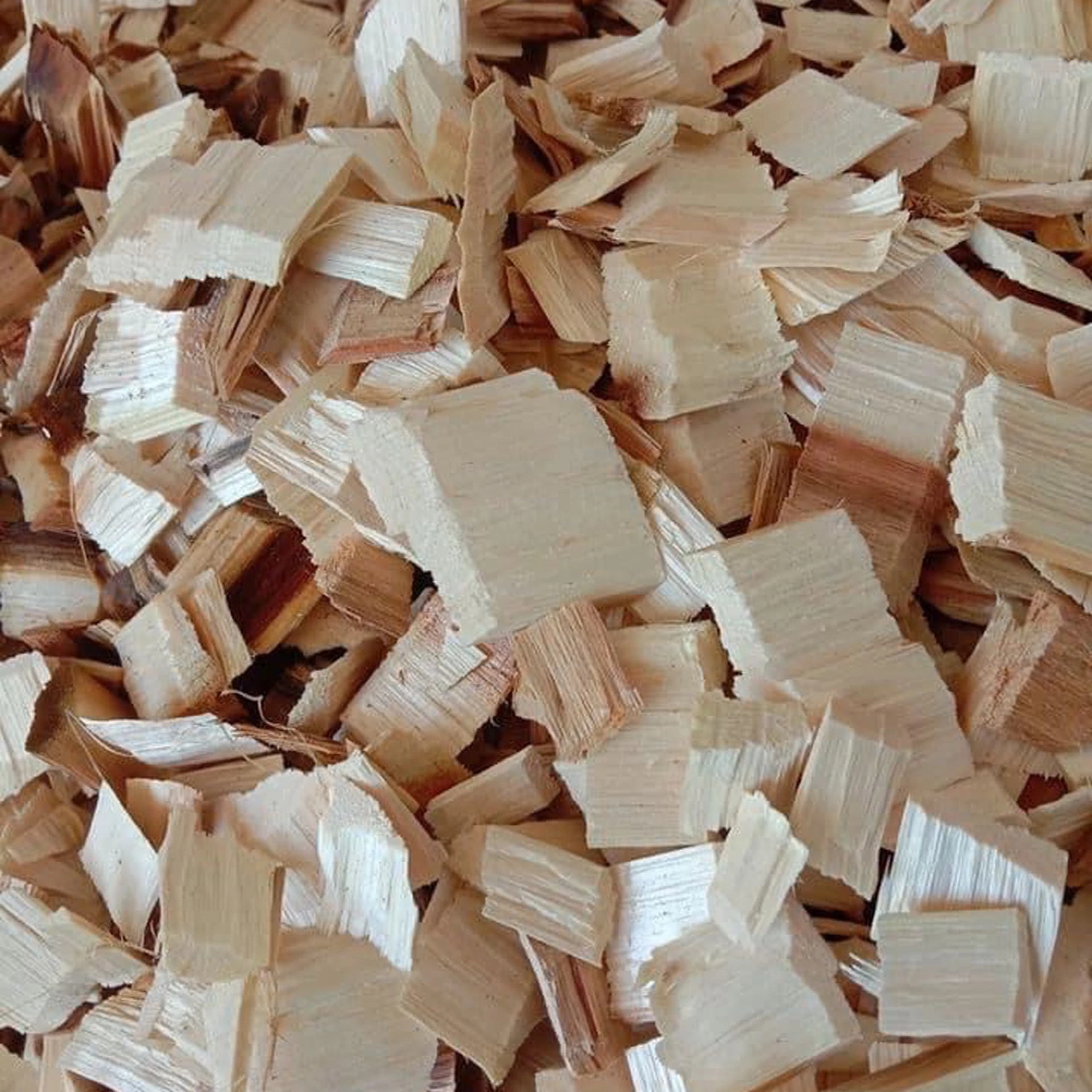 wood chips/shaving wood