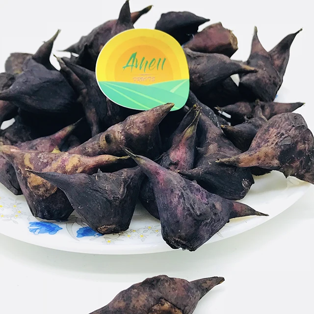 HIGH QUALITY WATER CALTROP FROM VIET NAM