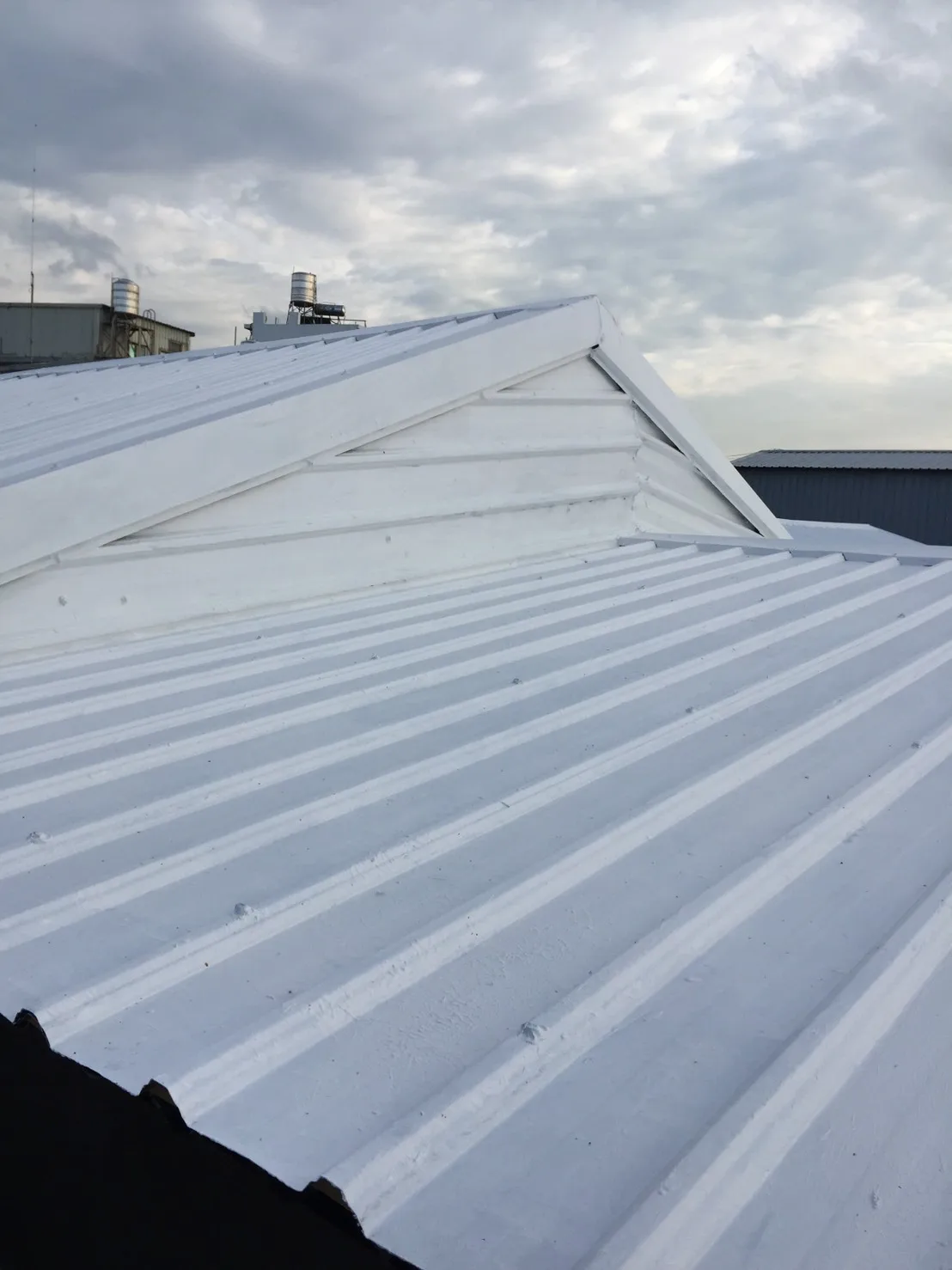 Chanye waterproof thermal insulation paint roof heat insulation