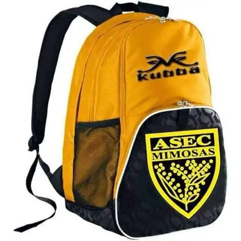 Cheap price customized logo wholesaler dealer climbing travelling mountain diving sports school team bags