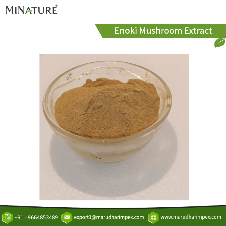 Индивидуальная упаковка 100% чистый самый продаваемый порошок экстракта грибов индейки от лучшего поставщика