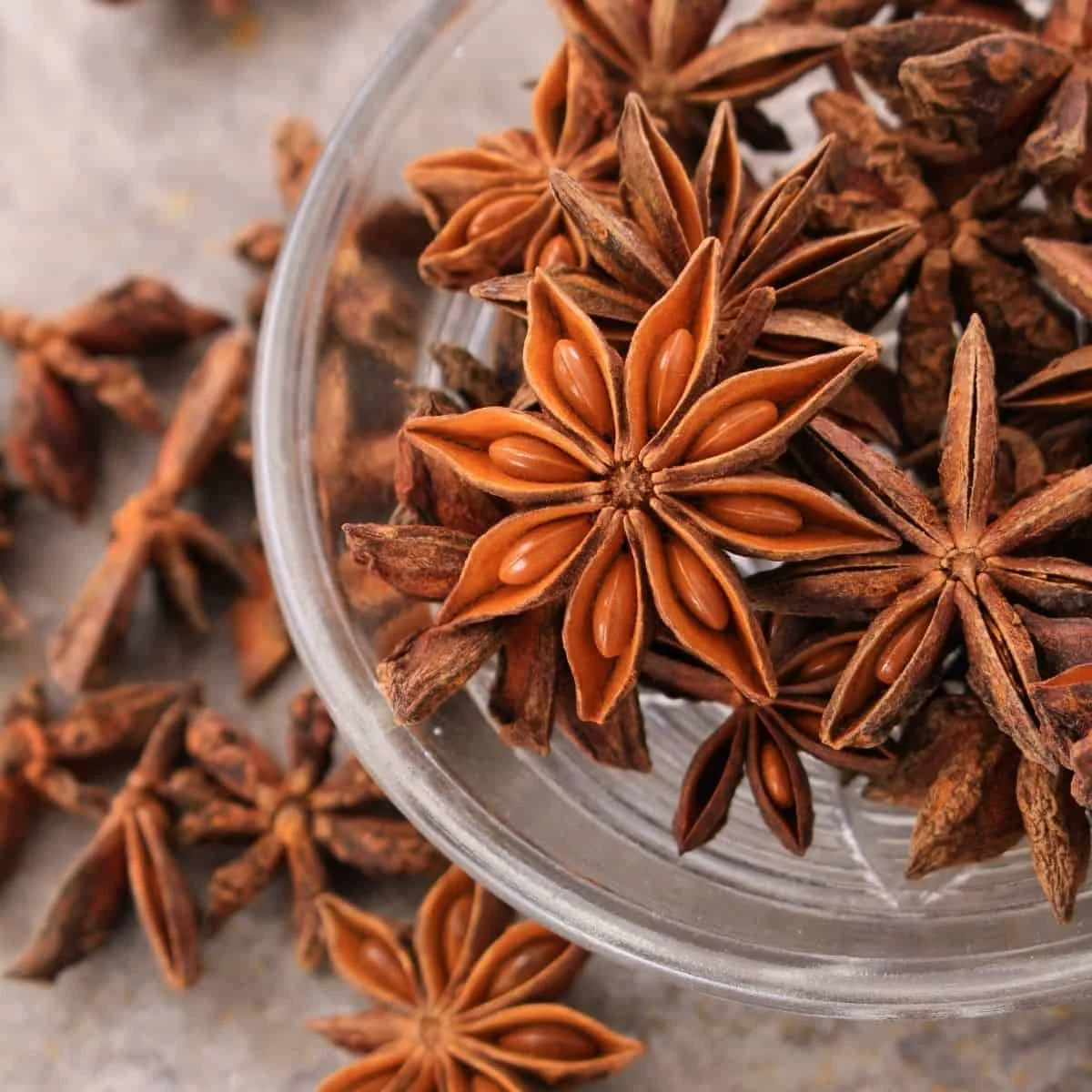 High oil contentStar Anise Autumn Season 2021 Grade AA Premium Quality Whole sales price original from Vietnam