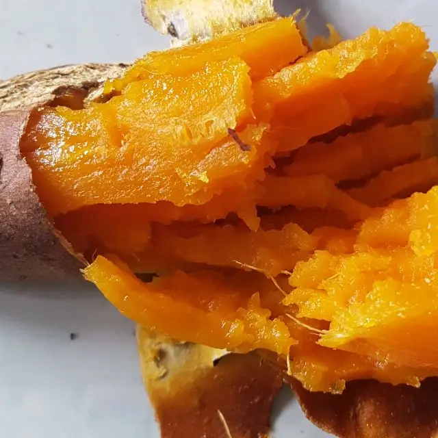 
HIGH QUALITY FRESH SWEET POTATO VIETNAM 