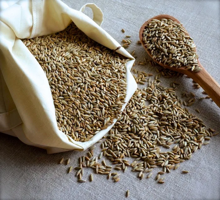 Rye - Organic Whole Rye Grain Berries - Wholesale Russian Rye Grains