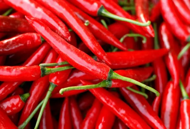 FROZEN FRESH CHILI - FROZEN CHILLI