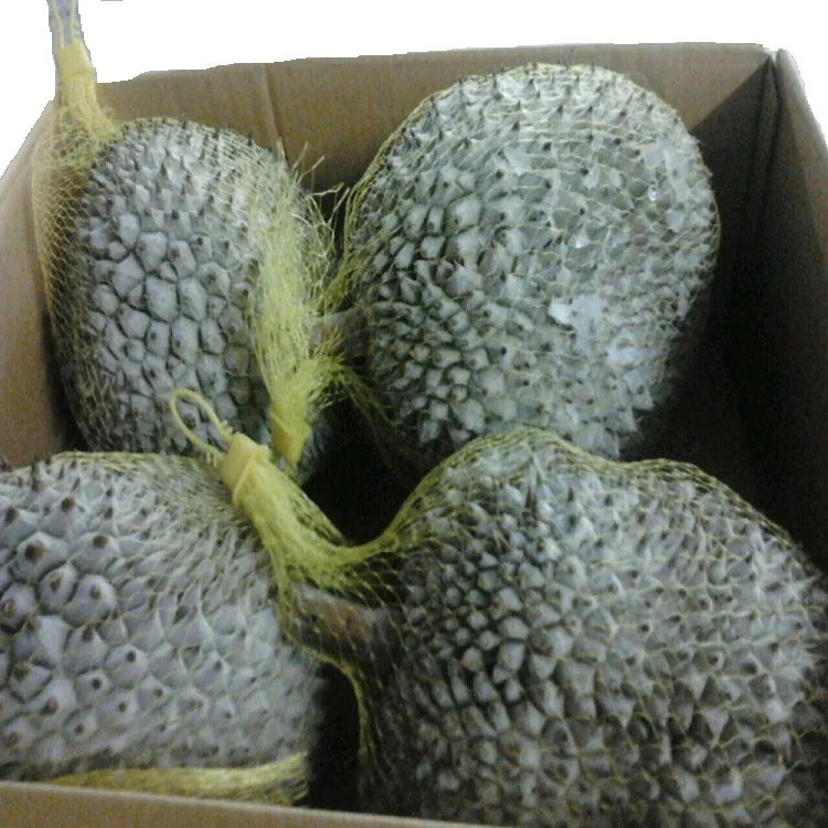Лучшая цена Премиум свежий Ri6 King Durian из Вьетнама/MS KATHY + 84 896650714