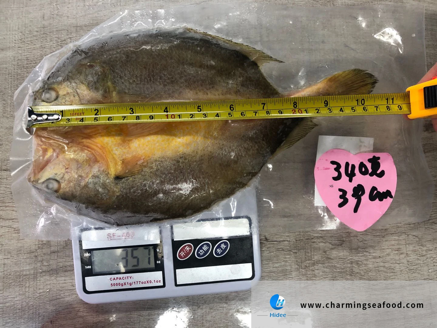 Frozen Whole Round Fish Yellow Croaker Good Price Hidee Sea Bass Farming