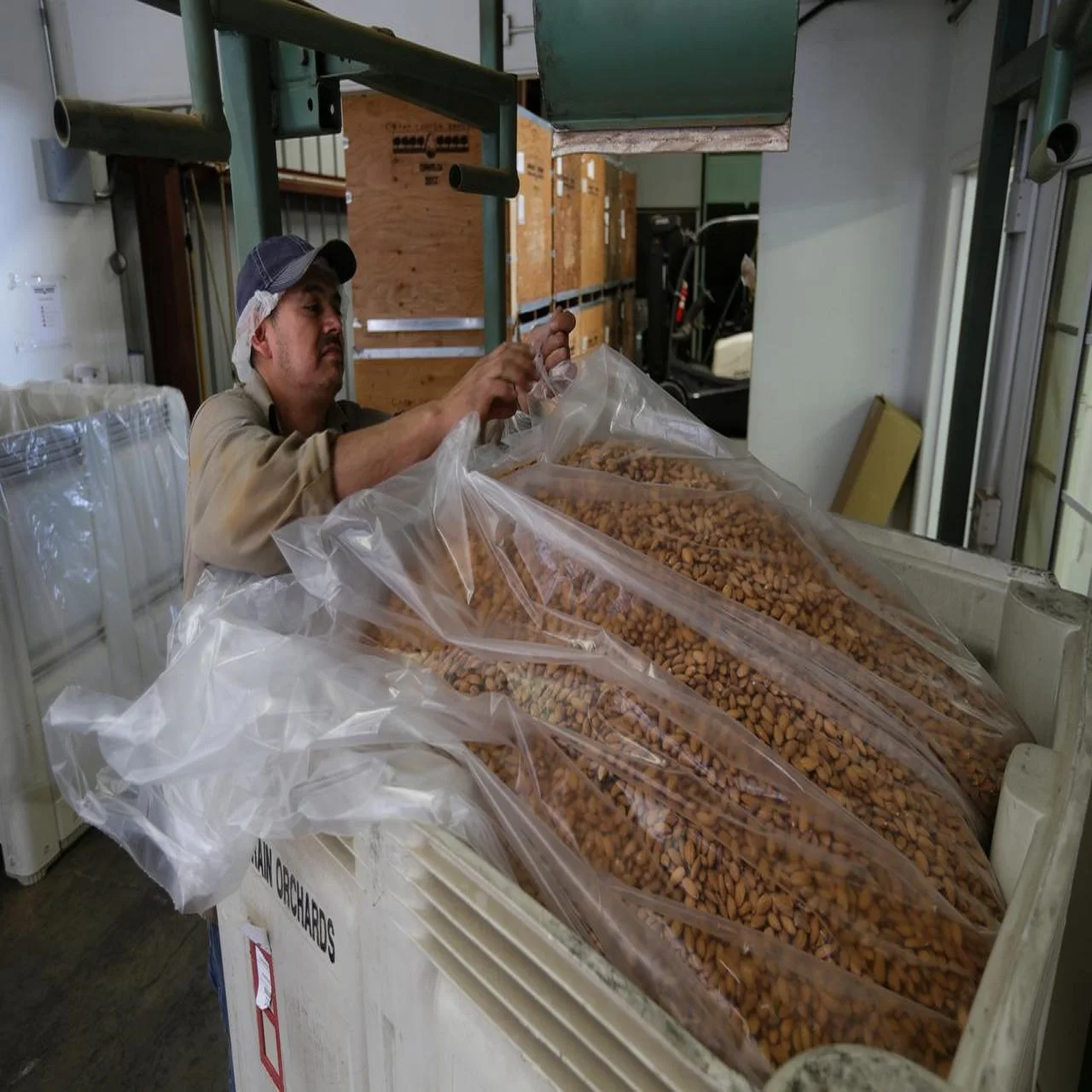 Best Grade Almond Nuts / Raw Natural Almond Nuts