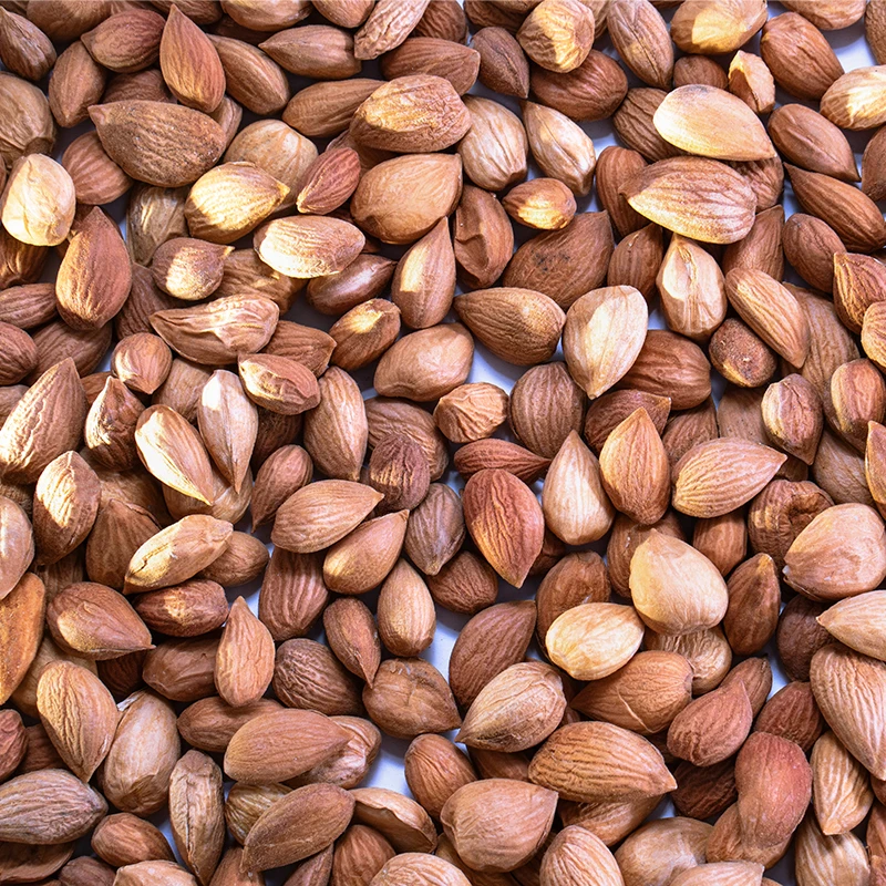 Apricot Kernel2.jpg