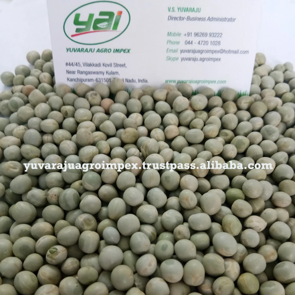 Green Peas Exporters In India To UAE / Qatar / Kenya / Tobago / Kuwait / Singapore / Philippines / Canada / Australia / US / UK