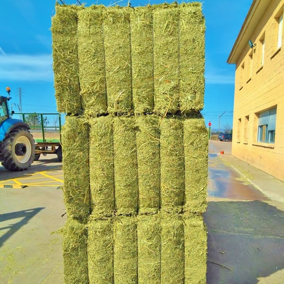 ALFALFA FIRST QUALITY. 750KG BALES. 16% PROTEIN