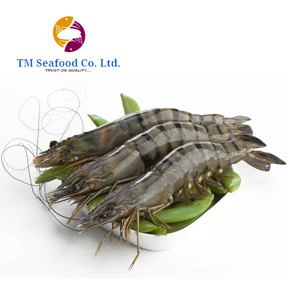 
Good Quality Hot Selling Frozen Black Tiger Shrimp From Bangladesh 