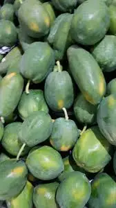  Поставка свежих фруктов папайи из Вьетнама MS ANNA + 84902804571