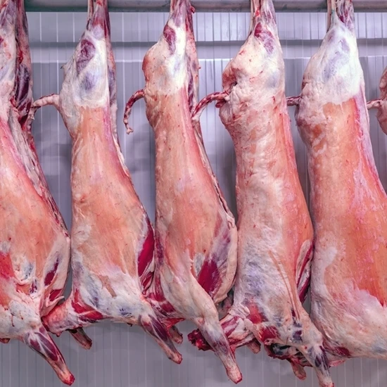 Fresh Frozen Halal Lamb Meat
