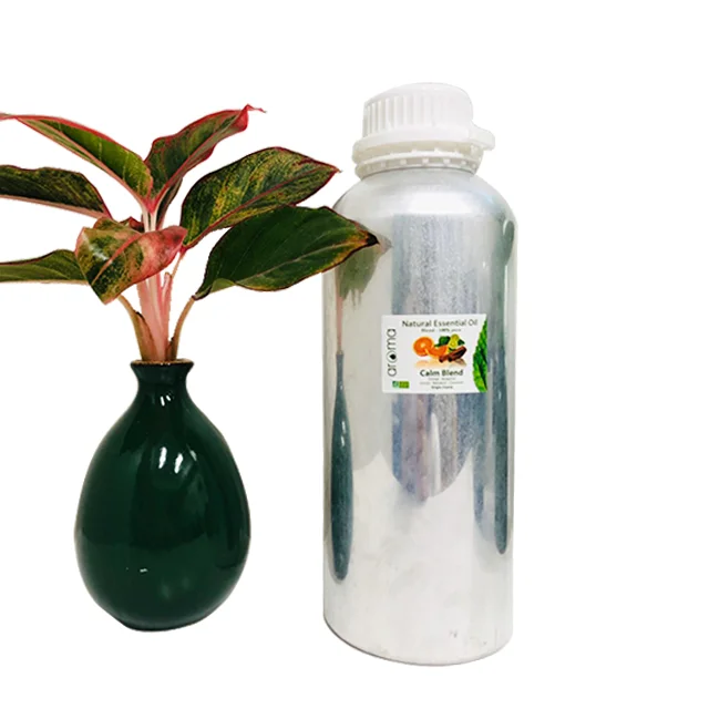 
High Quality Natural Calm Blend body Oil 100% Pure Relax balance good for sleep Moisturizing Cinnamon Orange Aromatherapy 