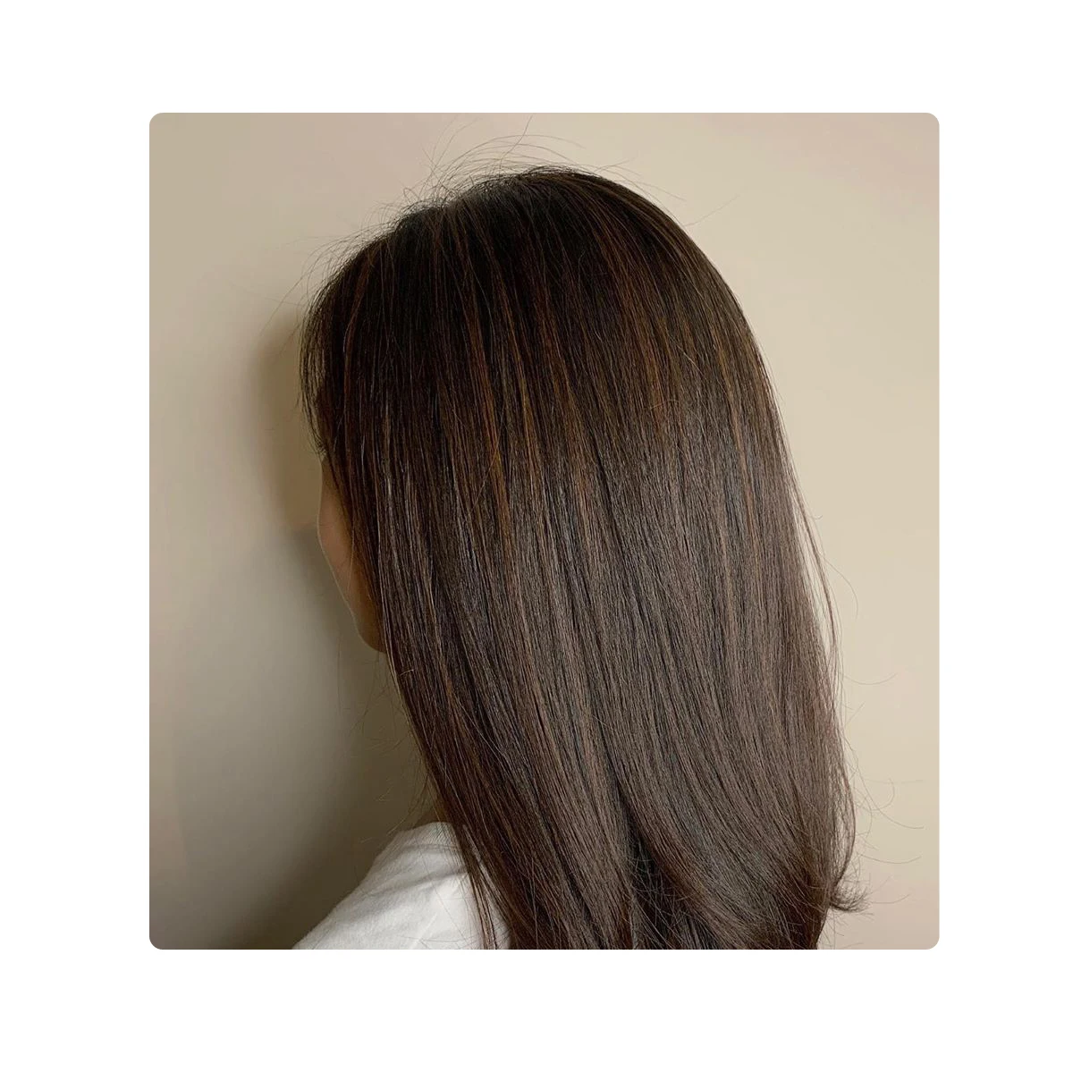 No Ammonia No PPD Natural Hair Coloring Henna Powder No Chemicals