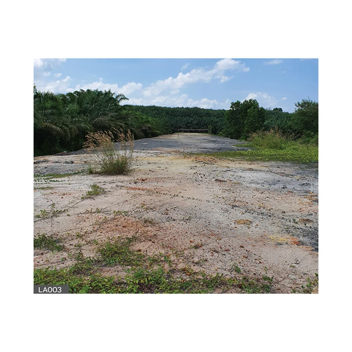 Land for Sale  Wiang Sa District  Surat Thani Thailand