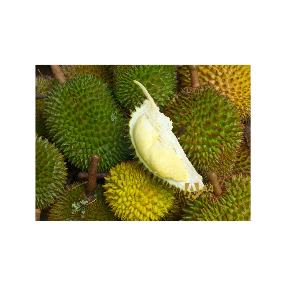  Свежий дуриан для Китая