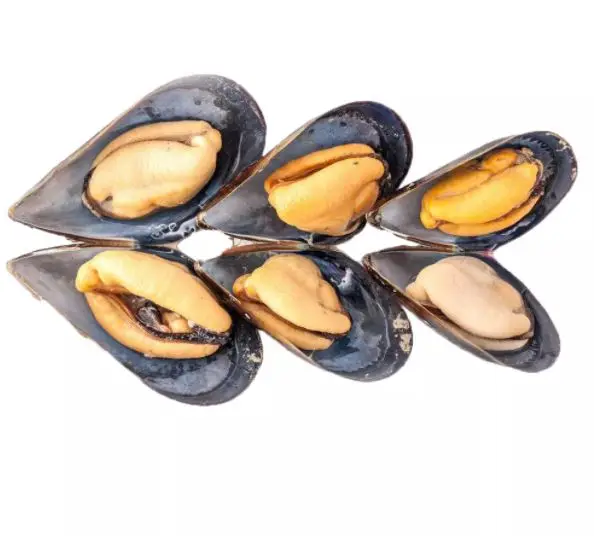  Новая 2021 замороженная моллюска (Mytilus Edulis) зеленая Mussel из Новой Зеландии
