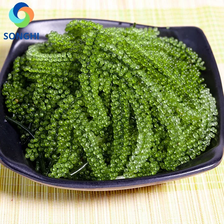 Морской виноград, зеленая Икра, водоросли, обезвоженные, высшего качества из Вьетнама, для оптовой продажи, картонная упаковка