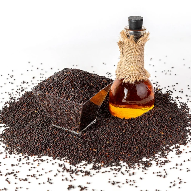 
100% Quality Bag Packaging Canola Seeds Non-GMO Natural Organic Rape Seed Healthy rapeseed canola seeds 