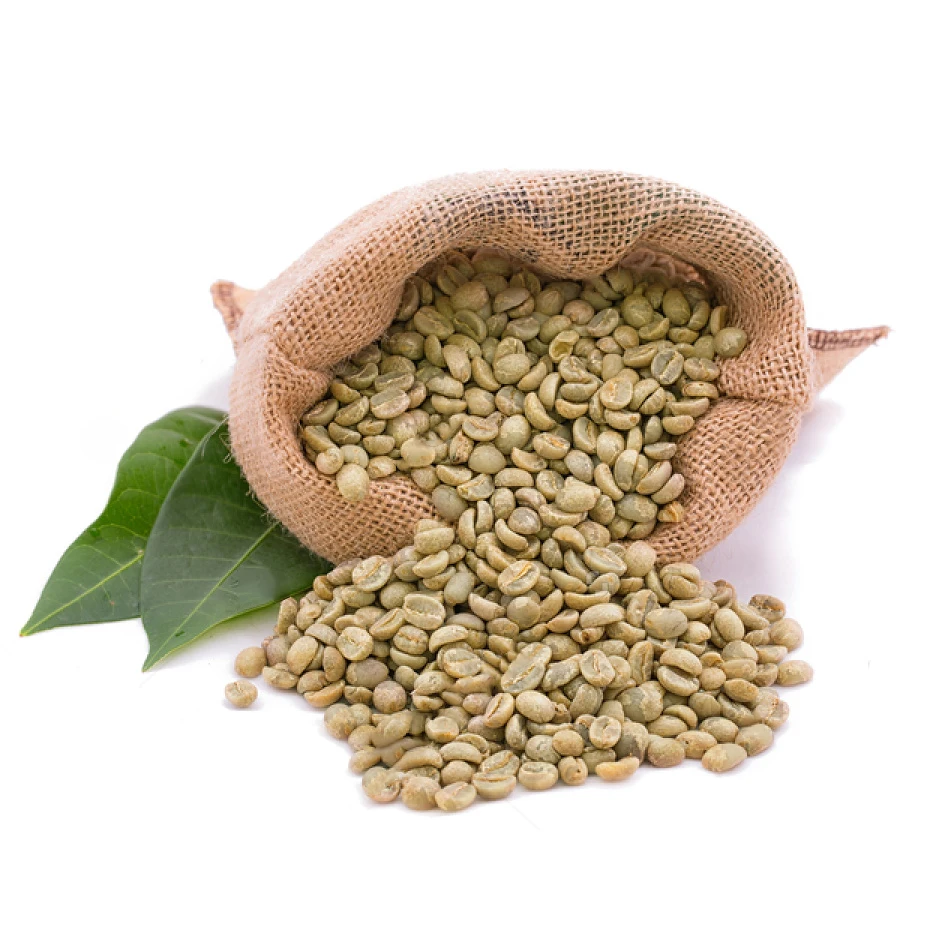 Зеленые кофейные зерна arabica оптовая продажа из Таиланда