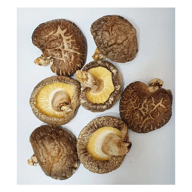 
Certified Wholesale Korean priceless Shiitake mushroom 