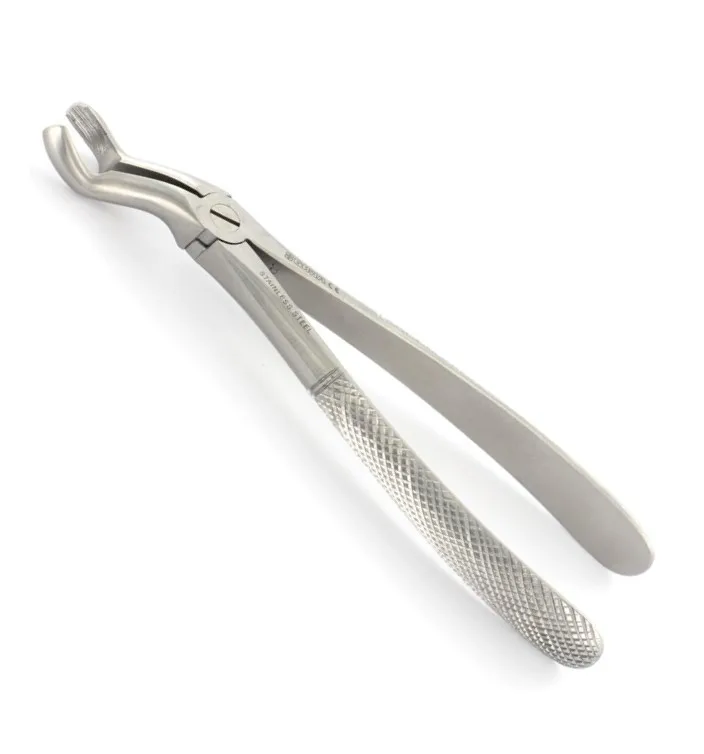 Dental Surgery English Pattern Orthodontic Tooth Extraction Forceps  Fig 29 Upper Jaw Roots Length 17.5 Cm Stainless Steel ISO