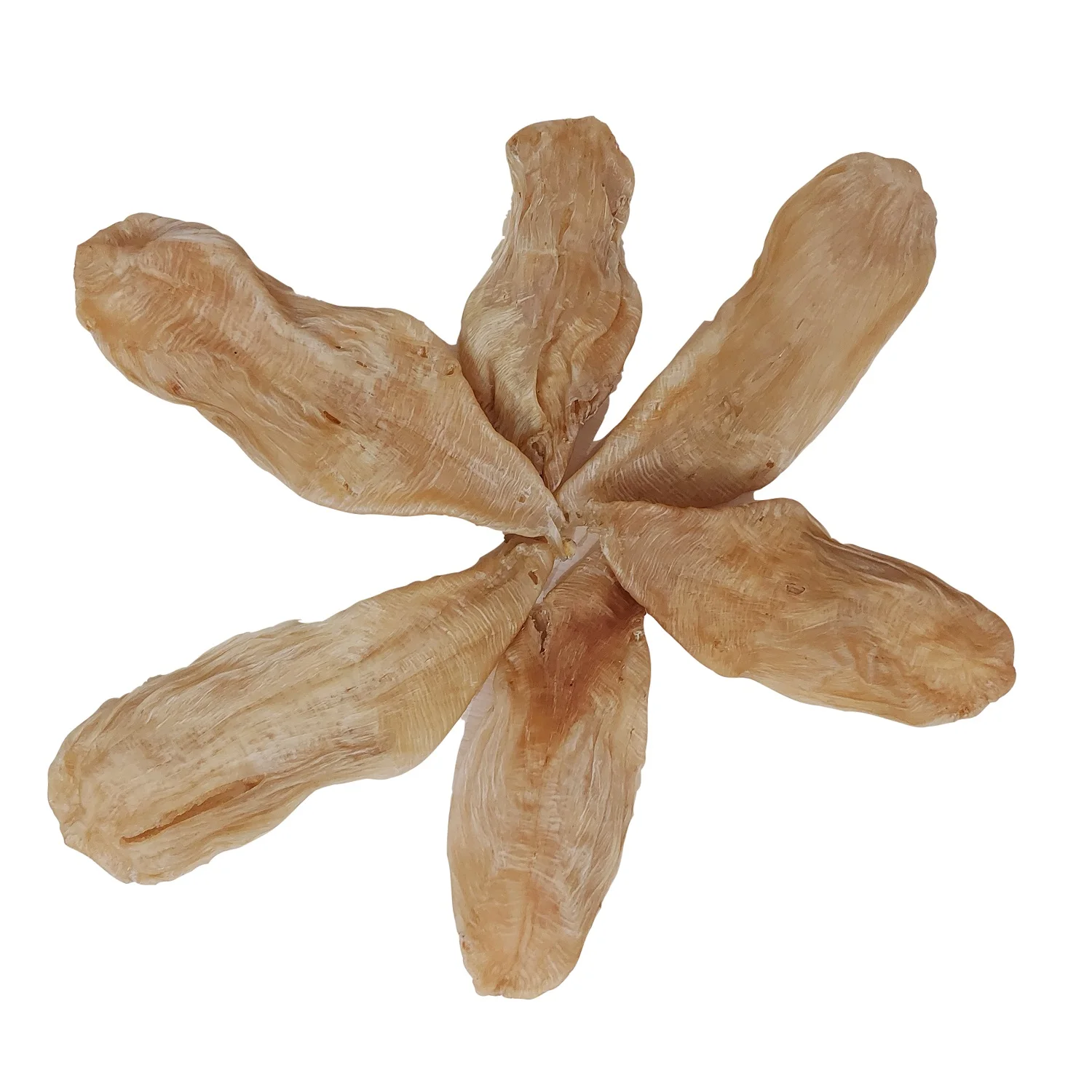 Black Drum Fish Maw Premium Quality Wholesale Sun Dried Master Seafood Product Best Quality Country of Origin Bangladesh