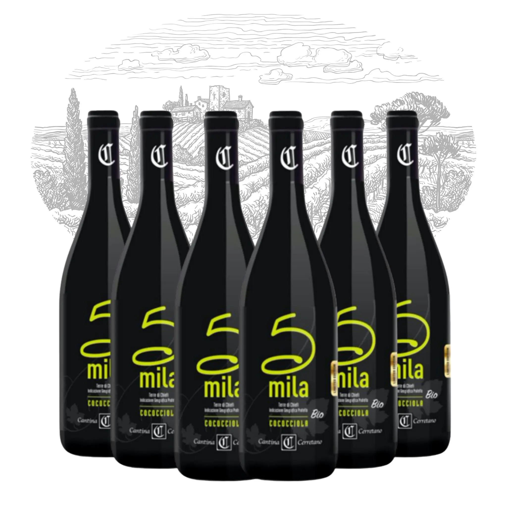 Premium Made in Italy White Wine - Cococciola Terre di Chieti Organic Vegan - Table Wine bottles 750 ml alcohol 12% for export