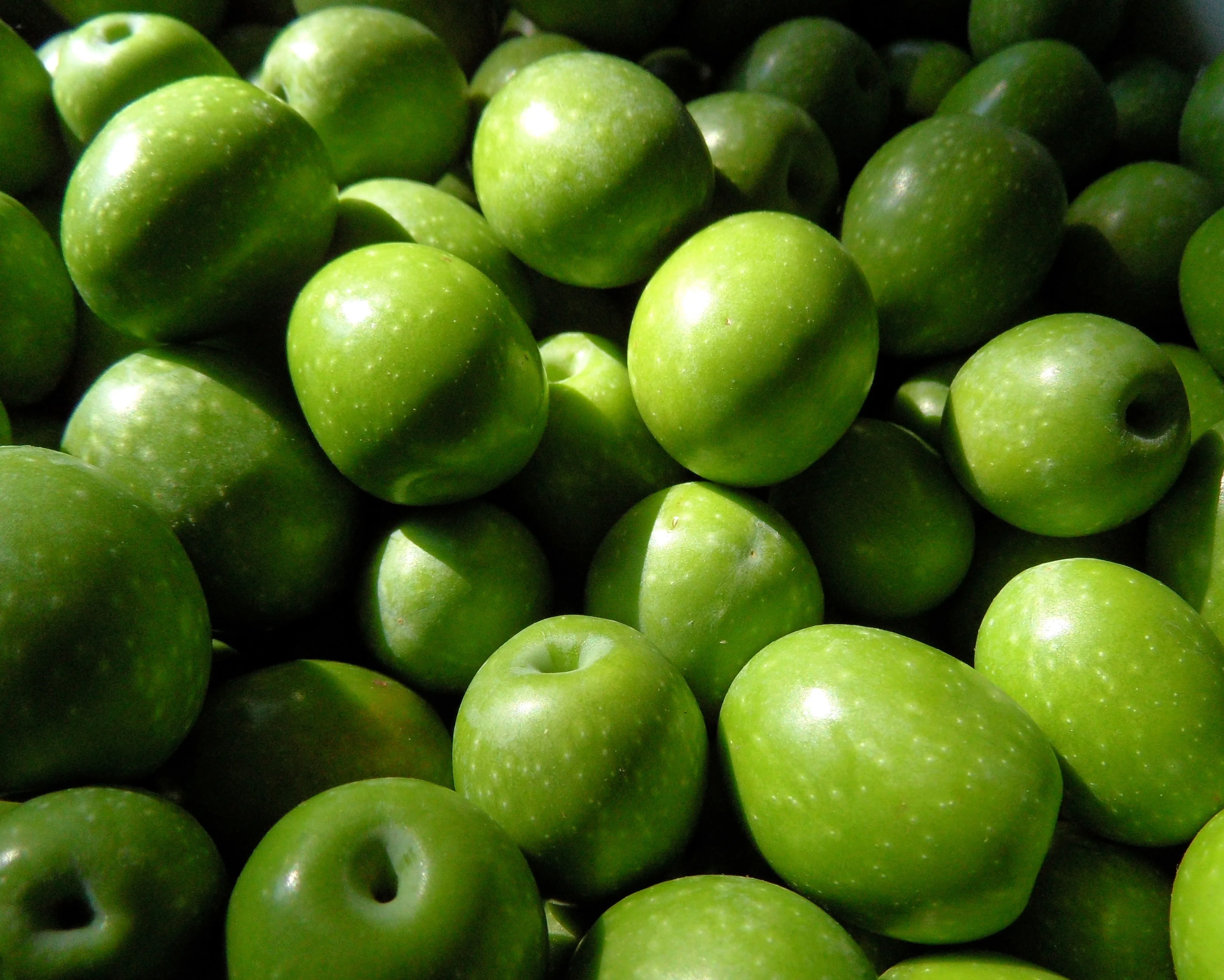 
Fresh Olives 