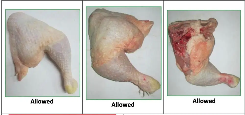 
Chicken leg quarter with backbone 
