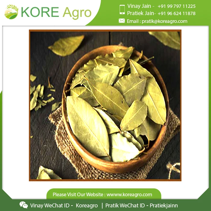 Most Selling Bay Leaf 100% Natural Dried Food Flavoring Spice And Cooking Herb & Mix Masala Supplier From India