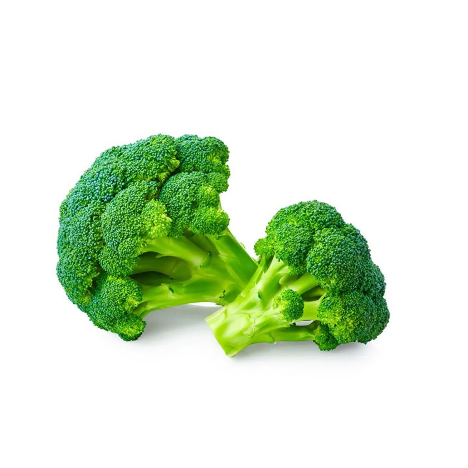 Горячая Распродажа высокое качество свежий брокколи новый урожай хорошая цена овощи