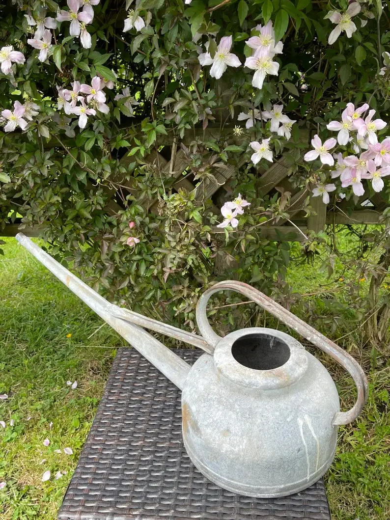 Винтажная Удобная кастрюля для полива железа деревенский готовый садовый инструмент домашний подарок сада растений заводская цена Индия