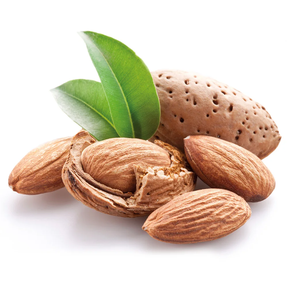 100% Pure Raw Almonds Nuts / High Quality Californian Almond Nuts For Sale