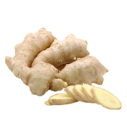 Fresh Ginger Air Dried Premium Quality from Thailand for 100% Export