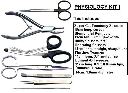 Зубные сухое разъем лоток настройки нержавеющая сталь Премиум инструментов набор из 4 высокого качества оптом по низкой цене