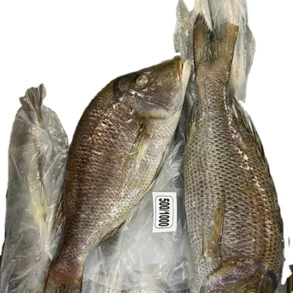 Замороженная императорская голова со щекой рыбы по низкой заводской цене, экспортеры, поставщики, трейлеры по самым высоким заказам