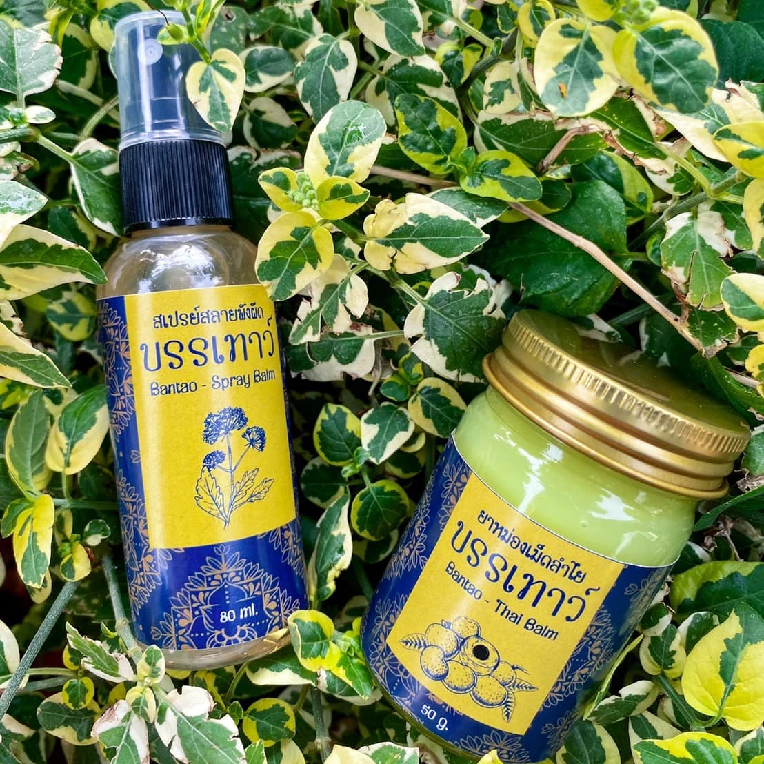 
Thai Herbal For Massage Herbal Massage Cream Herbal Massage Dall 