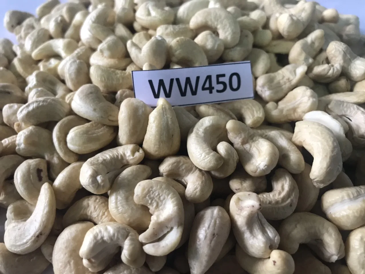 Best PRICE !!! Quality Cashew Nuts Cashew W180- W240- W320- W450 - WS - LP Cashew without Shell