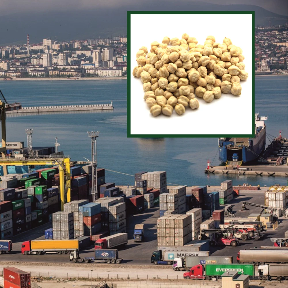 Organic dried kabuli chickpeas big bag, product of Russia