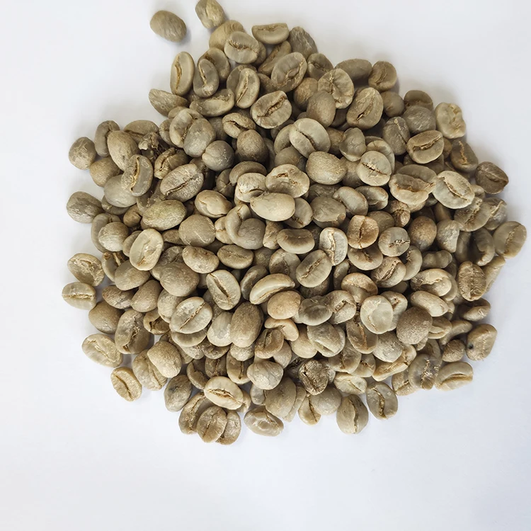 
Vietnamese ISO 2000 & HACCP Premium Grade 60kg Green Raw Coffee Beans With Best Price 