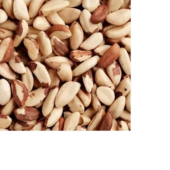 Cashew salted  Salted roasted cashew nuts Cashew nuts -W240- W320- W450