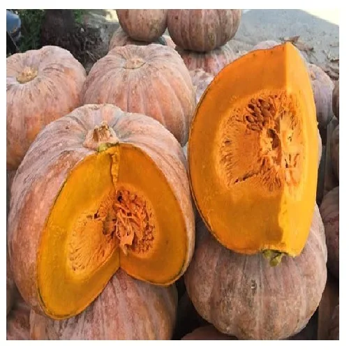 Fresh Pumpkin with The Best Price from Viet Nam
