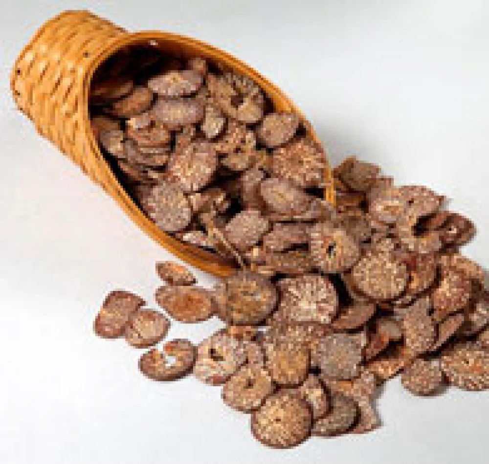 
TOP QUALITY ARECA NUT EXPORTER IN INDIA DRIED BETEL NUT AVAILABLE 