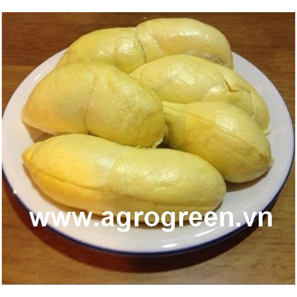 High Quality FROZEN Durian Seedless Cheap Price  Export From Vietnam