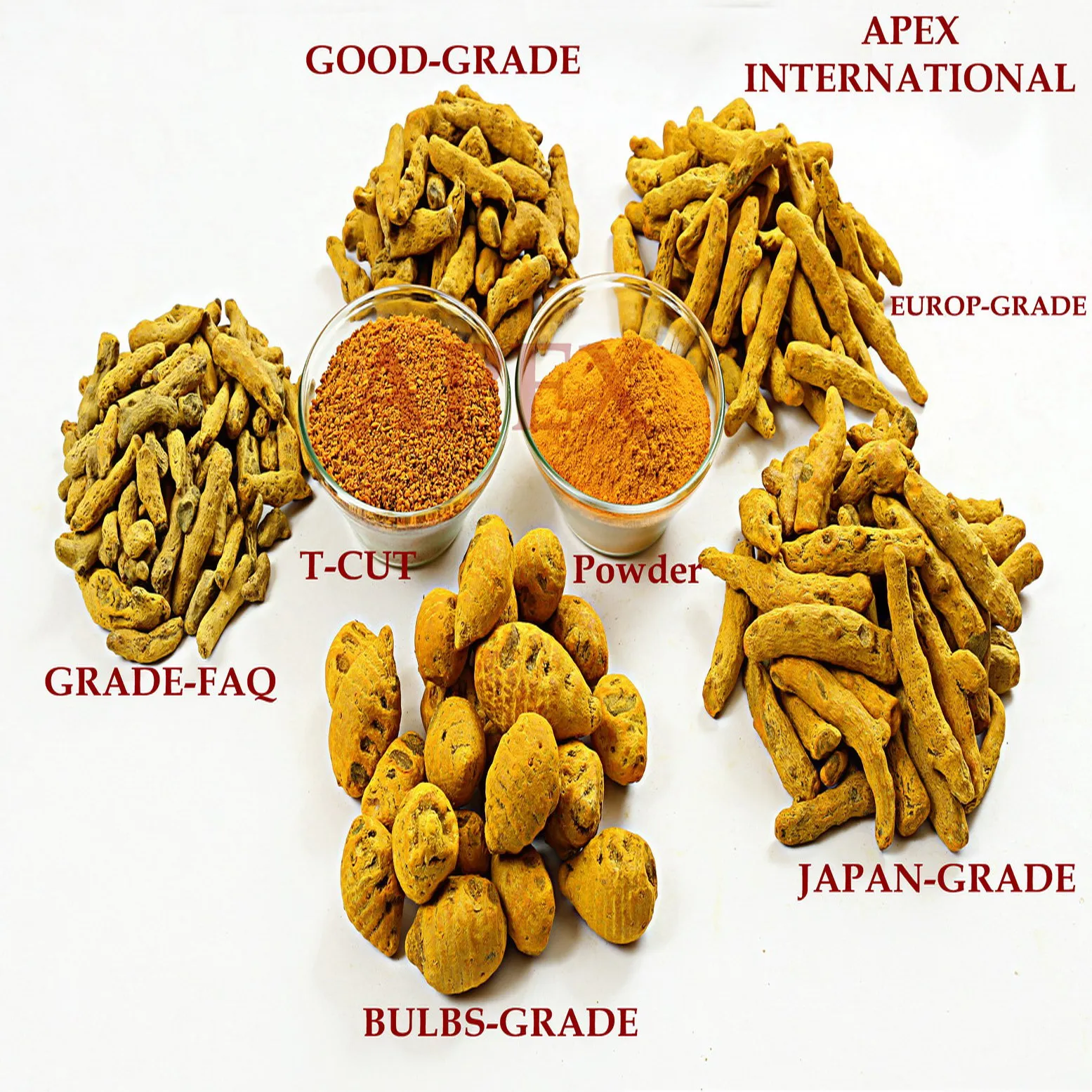 Куркума Longa пальцы куркума Haldi
