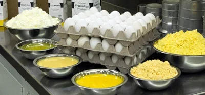 
Top Quality Whole Egg Powder 