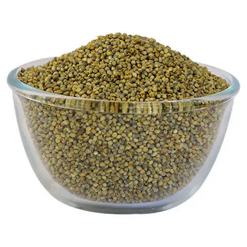 
BAJARA SEEDS EXPORTER 